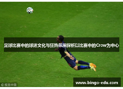 足球比赛中的球迷文化与狂热氛围探析以比赛中的Crow为中心
